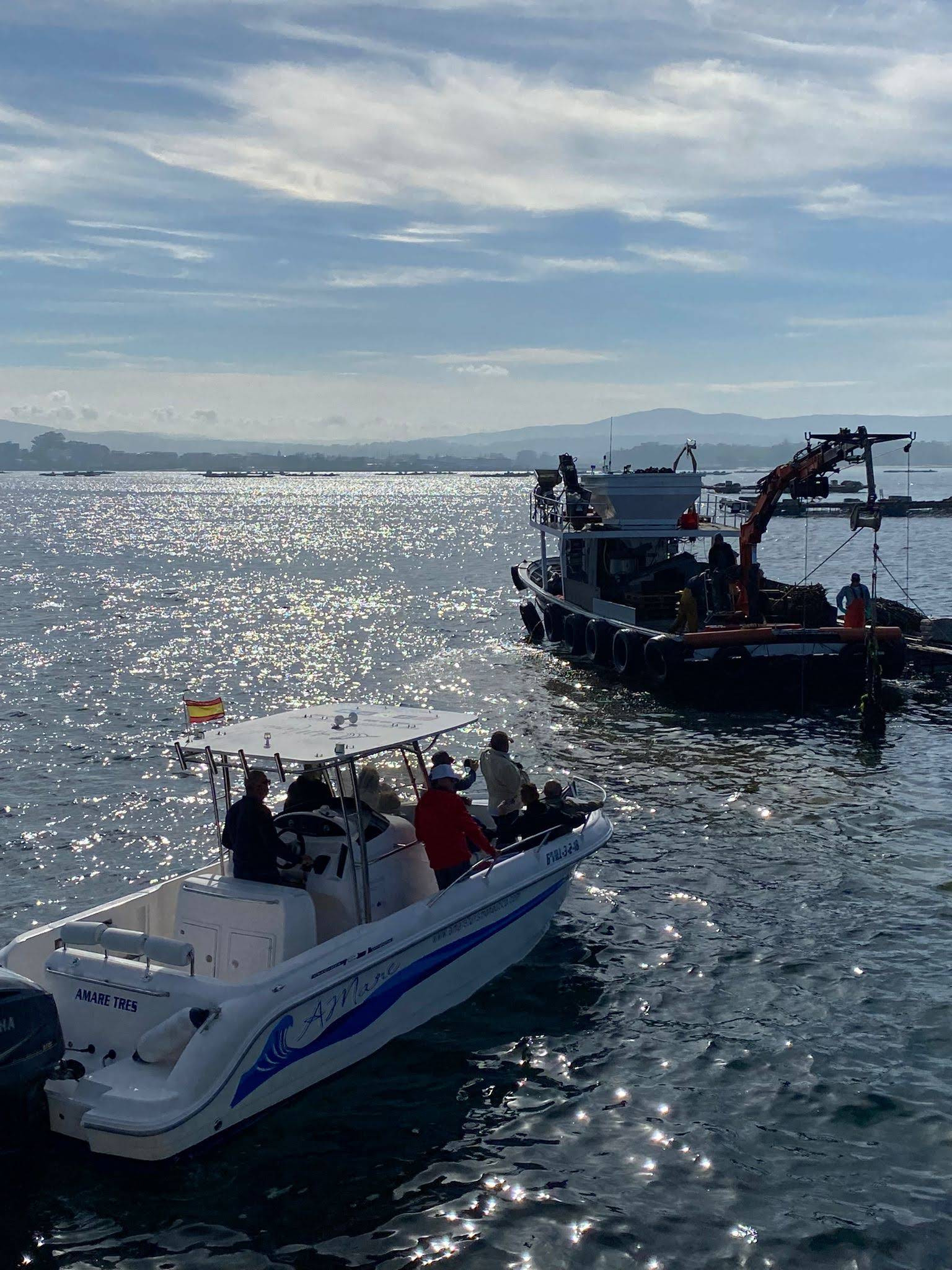 Miniatura Rías Baixas Petfriendly & Sostenible