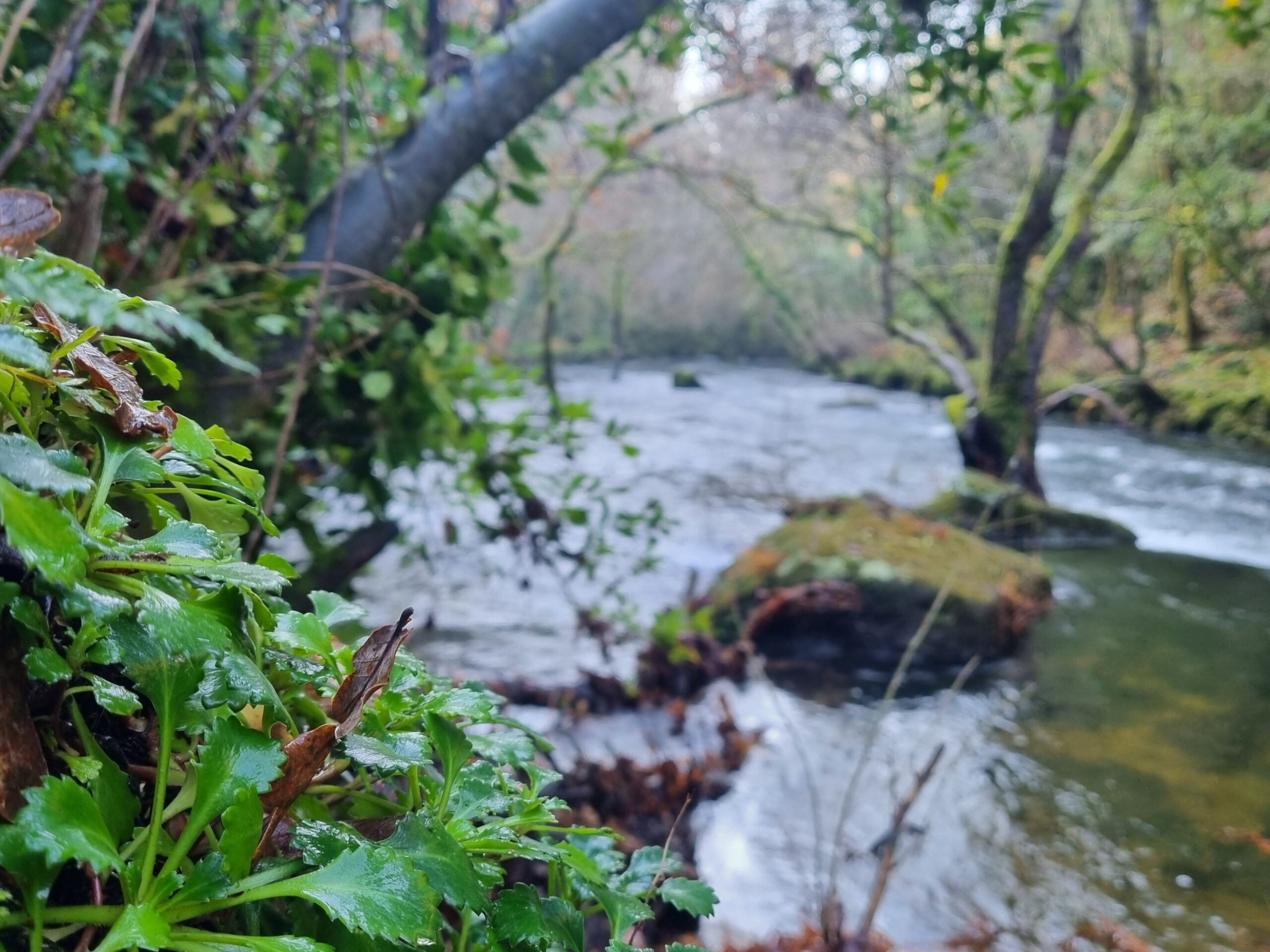 Miniatura Ecoturismo en Mariñas Coruñesas